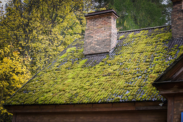 Roof Replacement