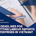 What Deadlines for Submitting Labour Reports of Enterprises in Vietnam?