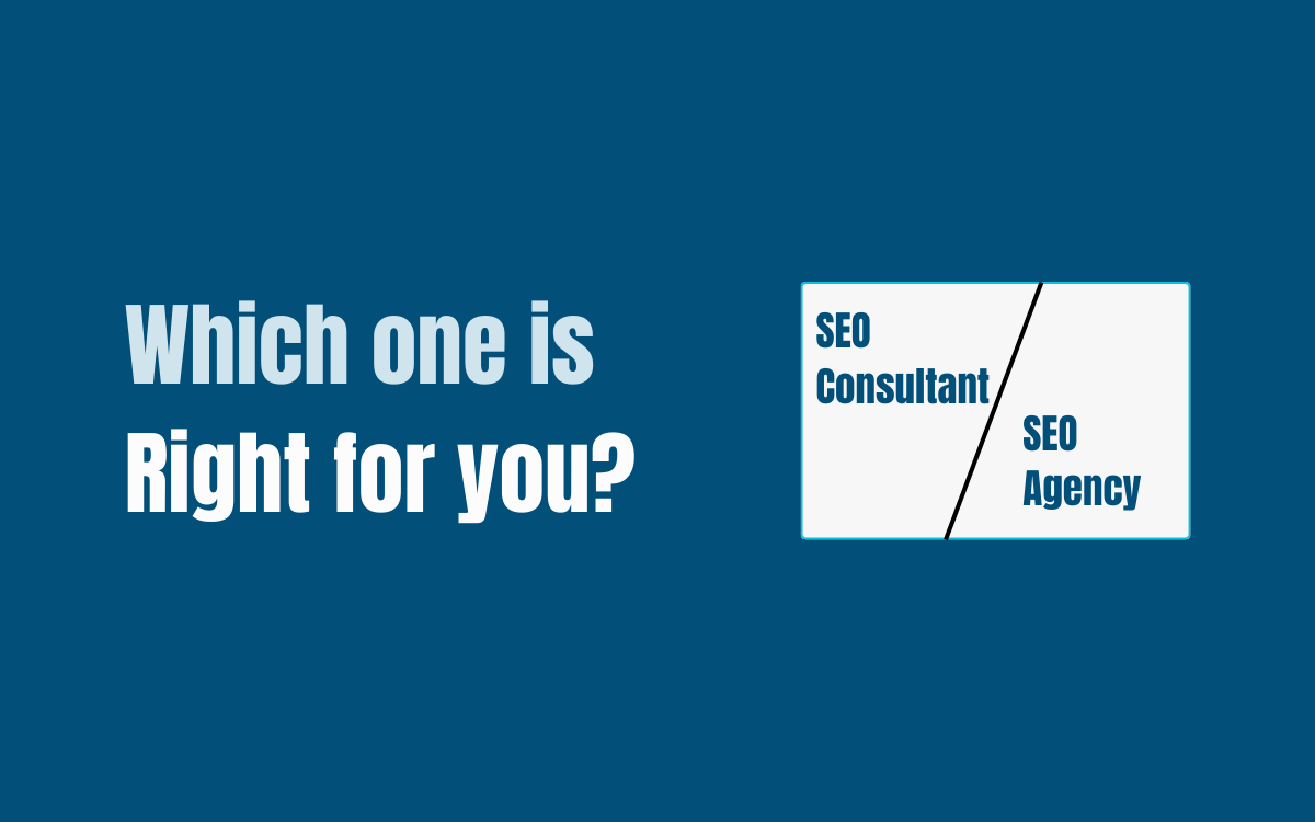 SEO Consultant vs SEO Agency