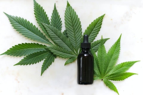 What Is CBD Rich Hemp Oil?