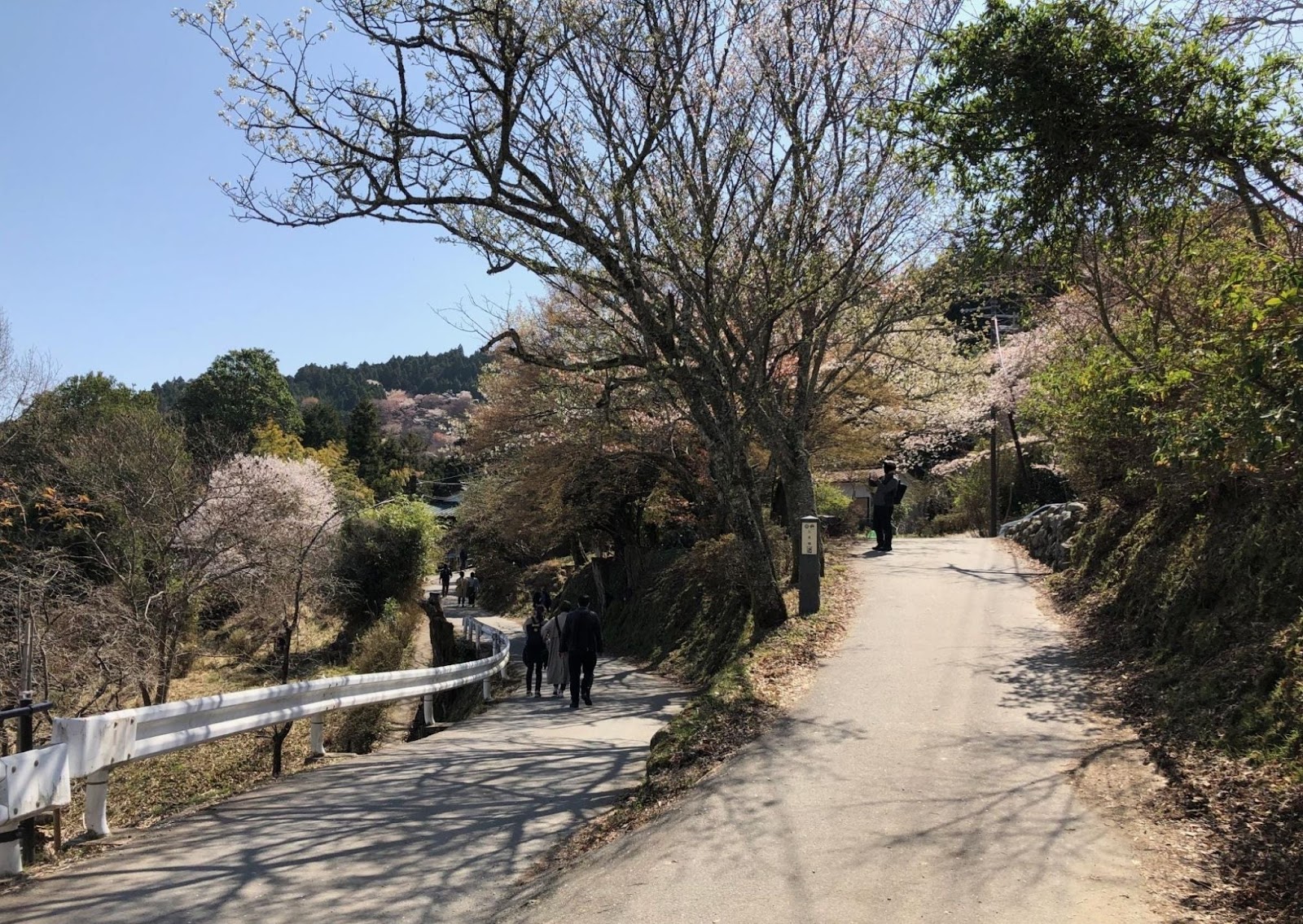 Mount Yoshino