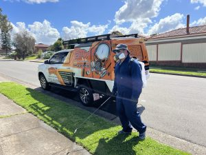 Why Termite Treatment Sydney is Essential for Homeowners