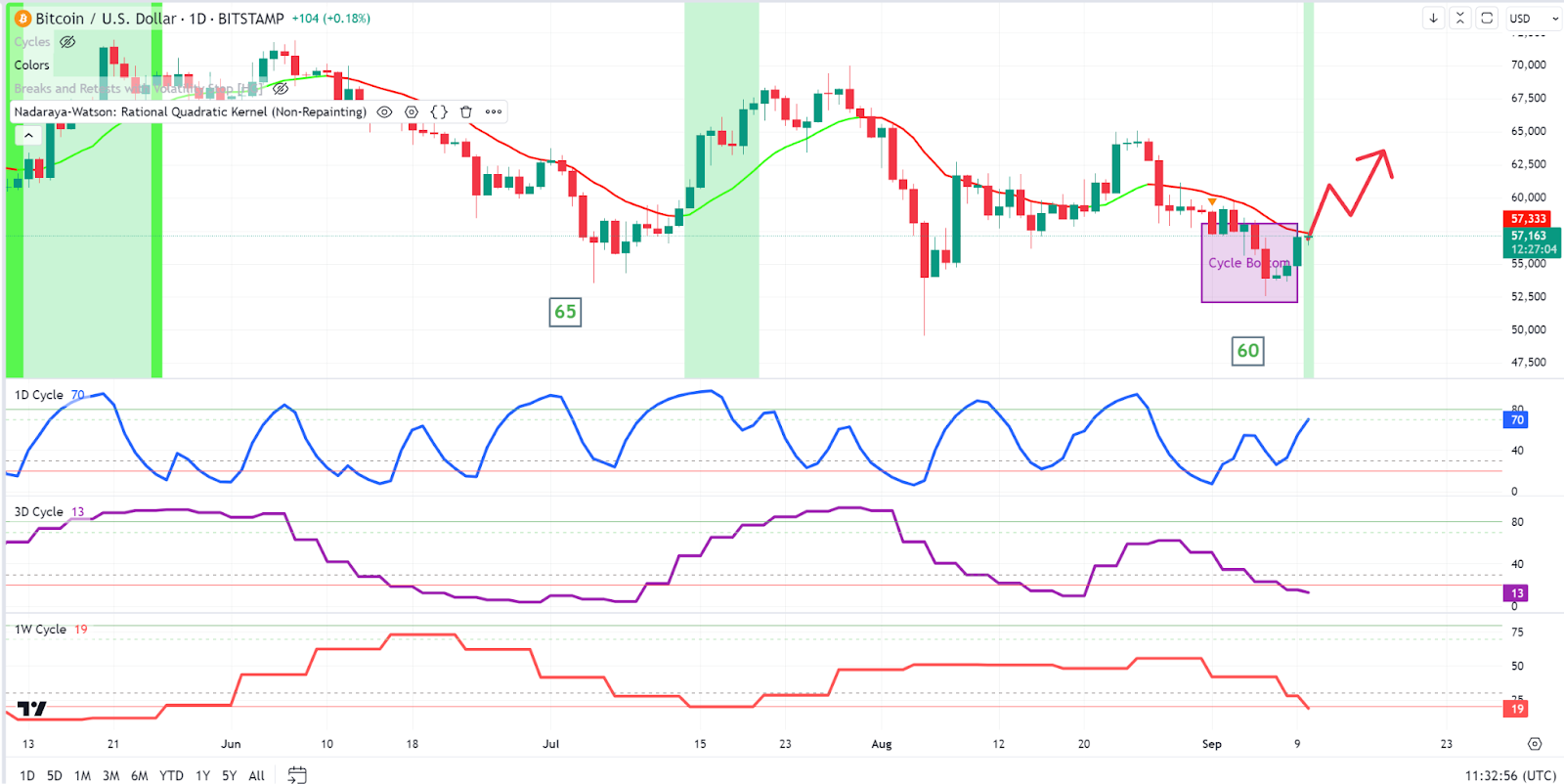 Cycle Bottom is in 🤩