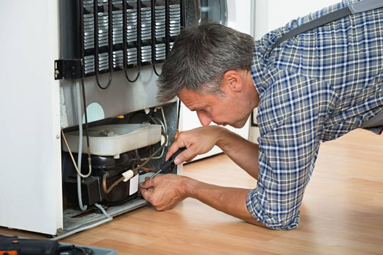 Benefits of Professional Commercial Refrigeration Repair