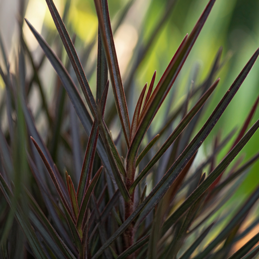 Identifying Black Stem Plants: Is it Natural or a Problem?