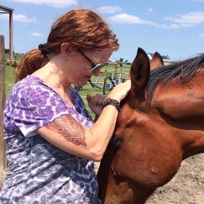 Made in the Stars, a Heart Horse Story, Scout, a Bay Dutch Warmblood gelding putting head up to Julie Bradshaw's torso.