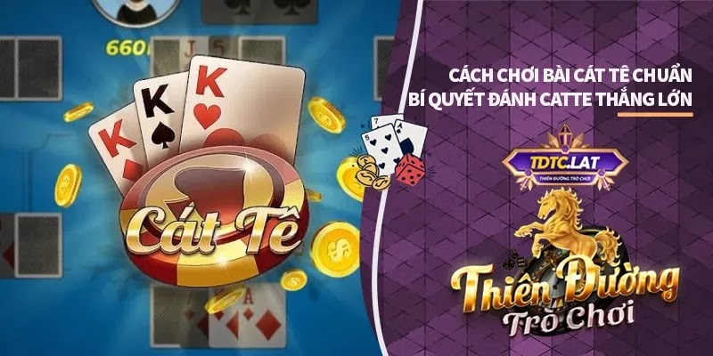 Casino Vb777
