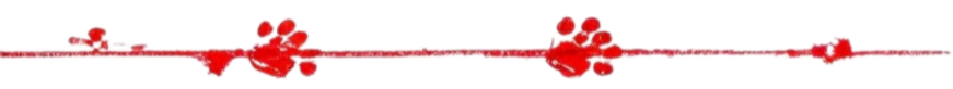 AD_4nXe8vc5v-qSmAAmzar_9w2xAmZ9GA7bqdv8UbNKyNyzlbx-sTR1oztJ9XFHiKPO2gXFRd244jdnBPfIATp8NWhAXtATilX2feAvsDlkWoTTRK5S_2yDvwwyUQ1wfFWjg9nz8wcbwiFosdEWAR2Q96k_ba44y?key=2H5kSIDL05Yml-ROXuPAag