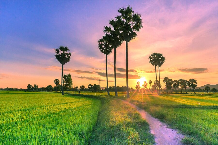 Breathtaking scenery of An Giang countryside under the sunset. Source: iVIVU.com