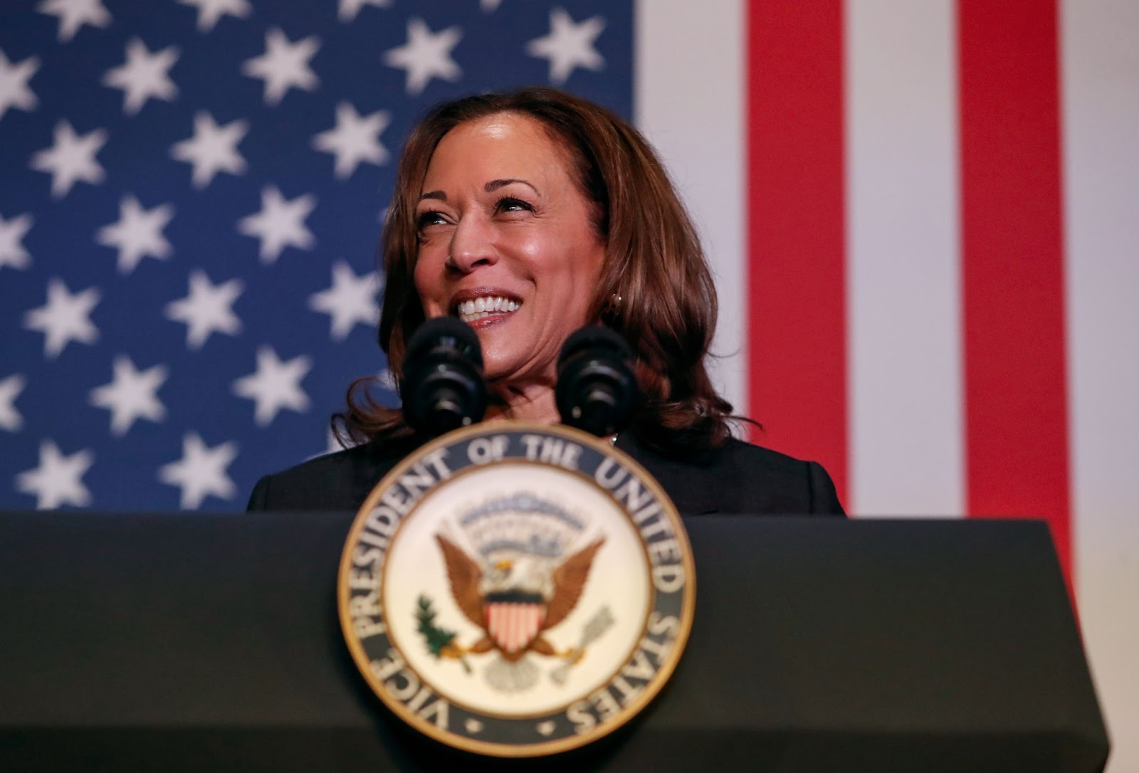 Vice President Kamala Harris gives a speech at a campaign rally in Michigan.
