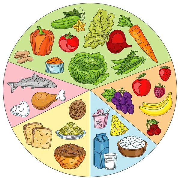 Illustration de la roue des familles des aliments