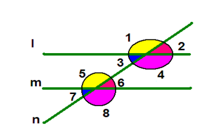 a visual example of Transversals of parallel lines