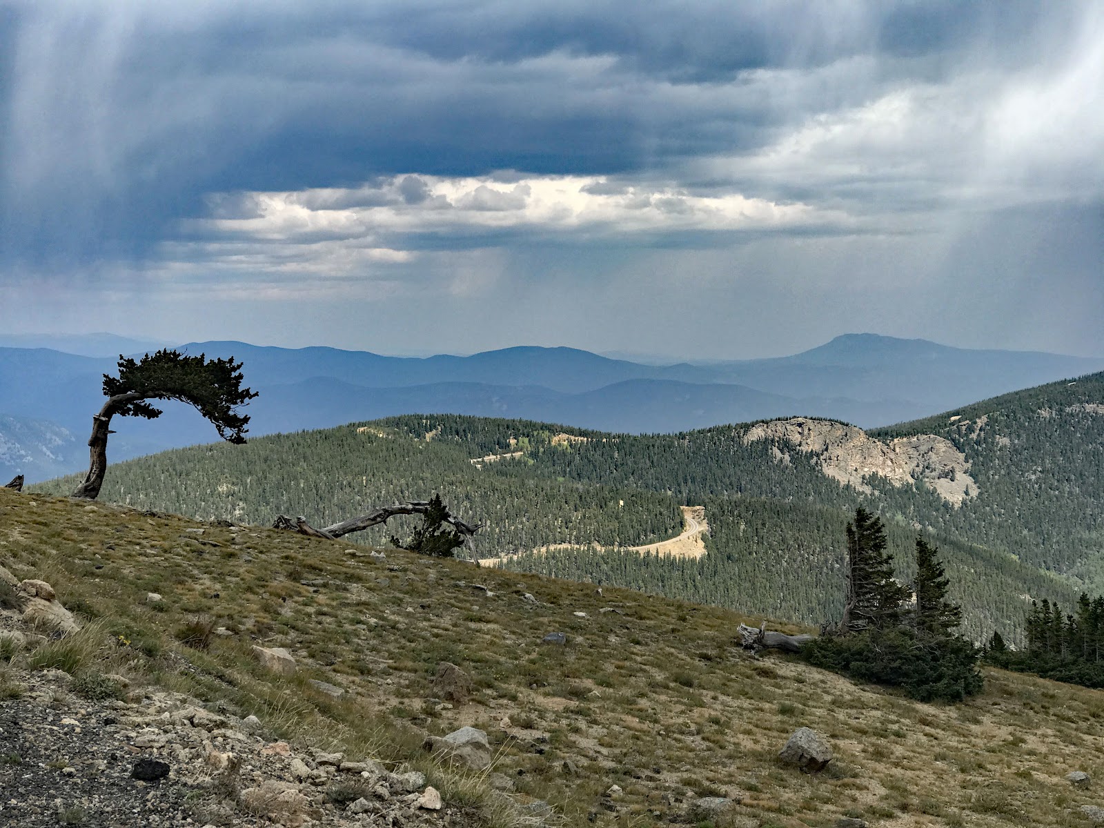 Cycling Mt. Evans, Colorado - view above treeline looking down over tree covered mountainsides, dense clouds above