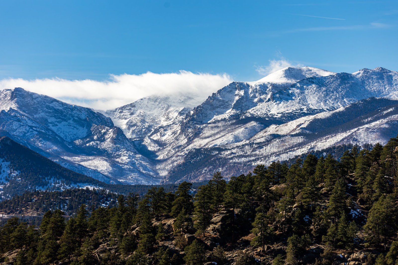 unique lodging colorado​