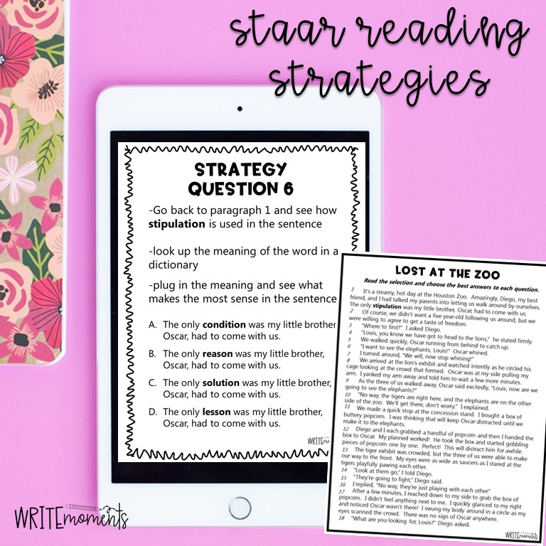 STAAR reading strategies