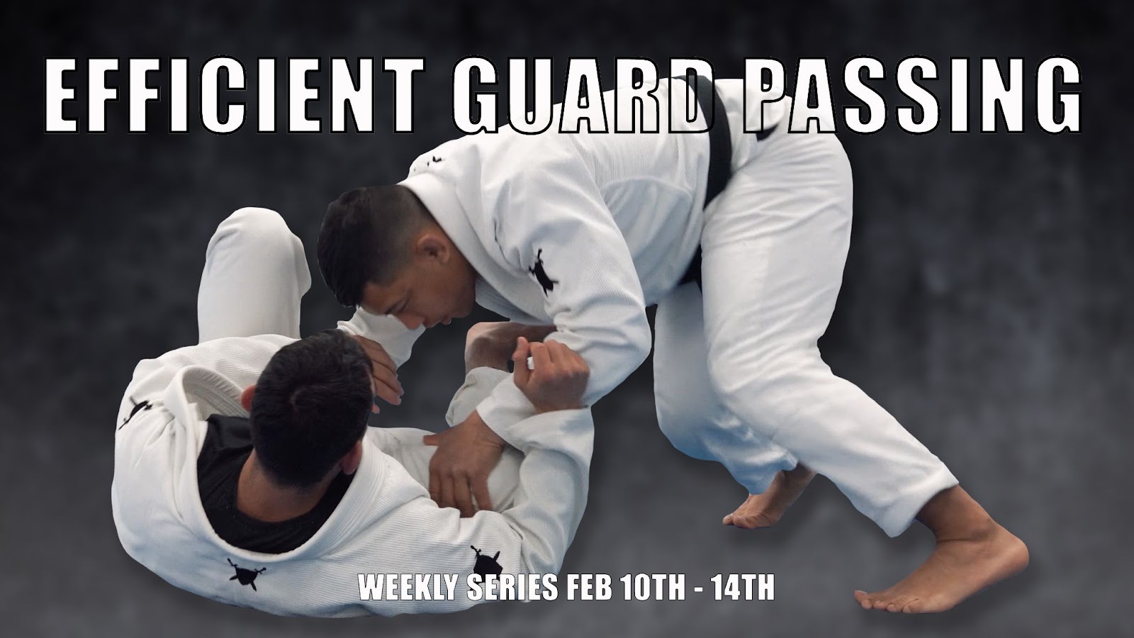 Efficient Guard Passing Thumbnail