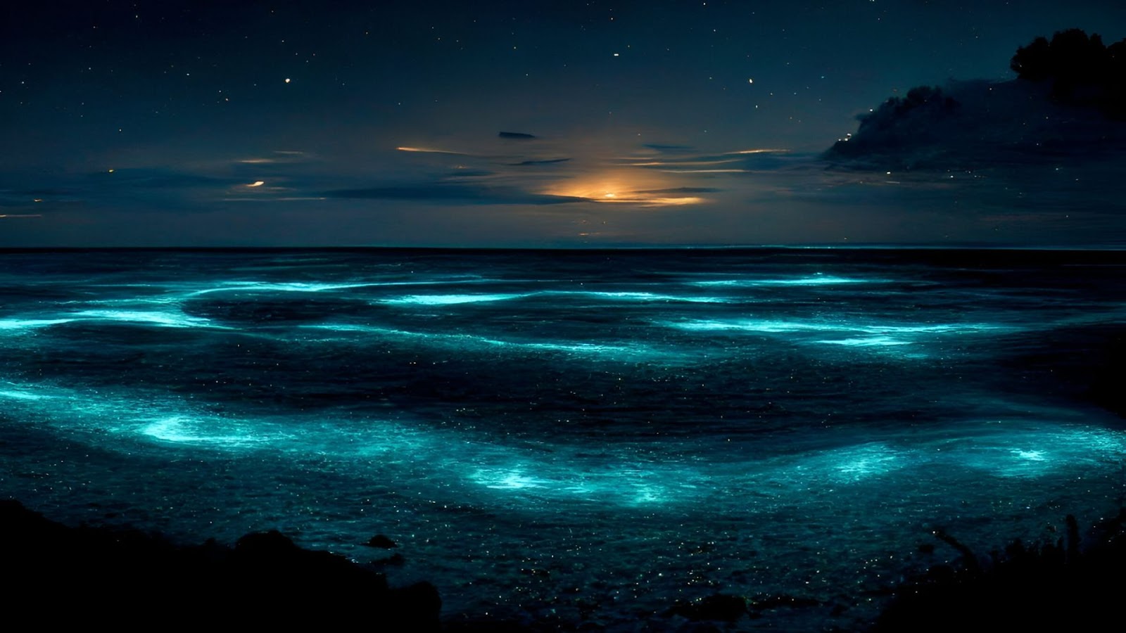 bioluminescent beaches in India: Maravanthe Beach, Karnataka