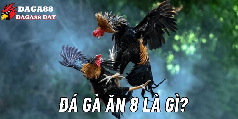 Daga88 bật mí thông tin hữu ích về đá gà ăn 8 là gì?