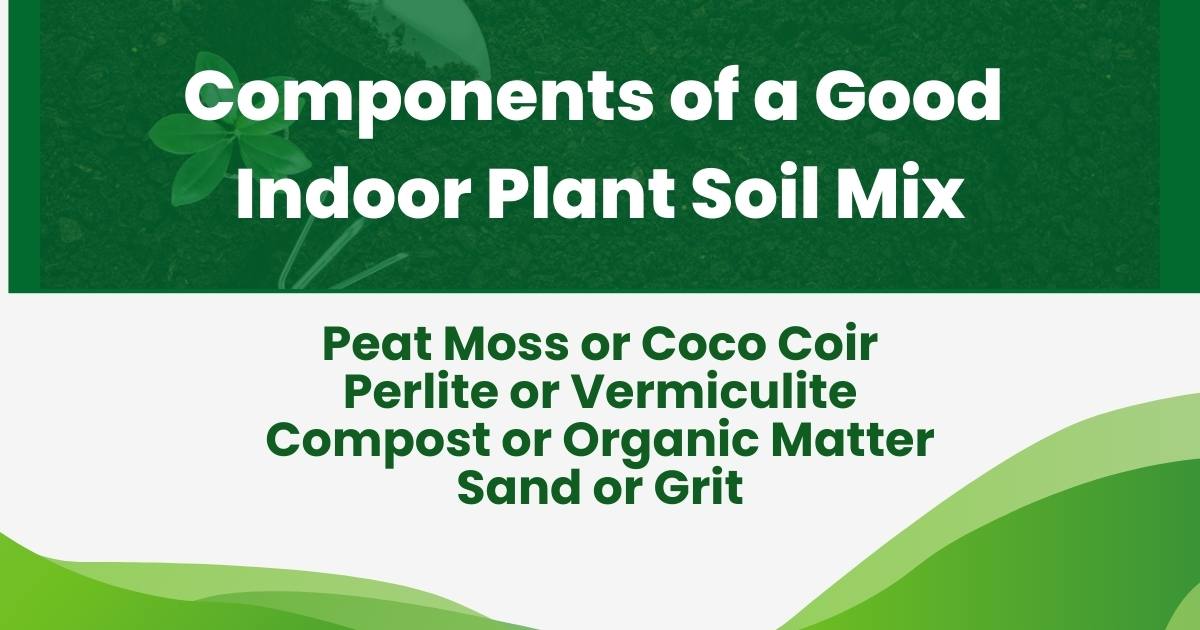 Components of a Good Indoor Plant Soil Mix