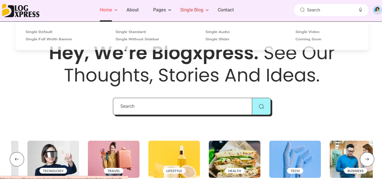 BlogXpress news blog template