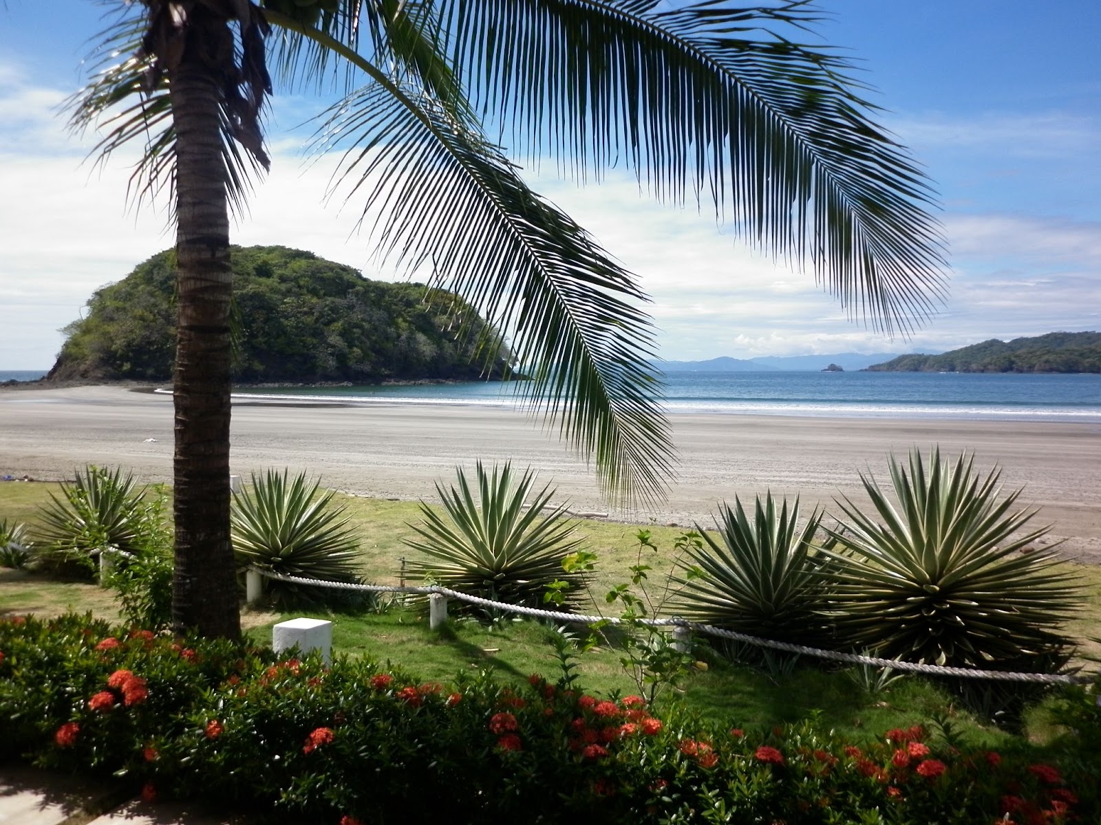 Beach surrounded by small and tall trees and  clear and clean water is there