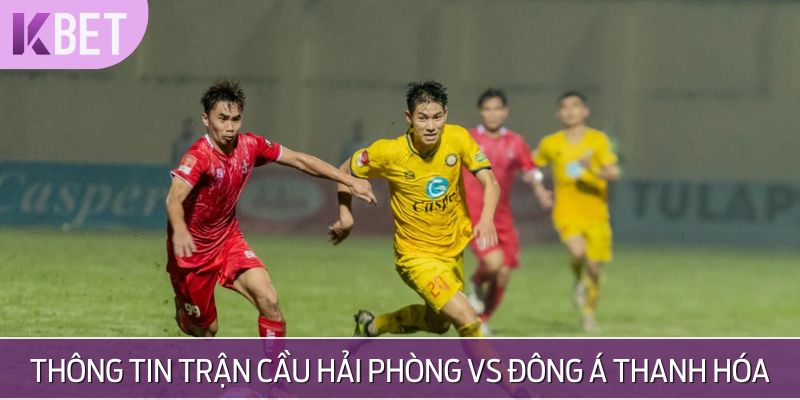 Thông tin trận cầu Hải Phòng vs Đông Á Thanh Hóa