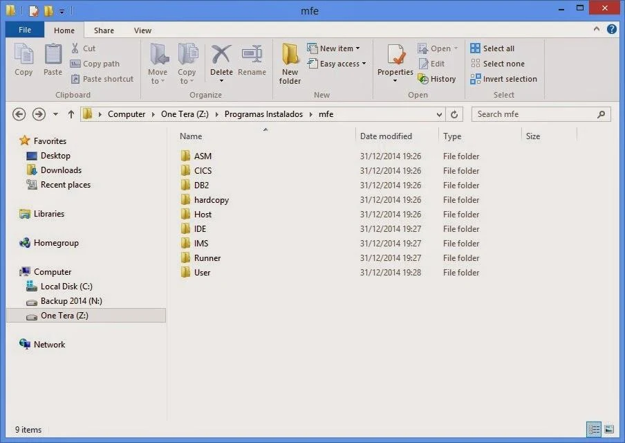 Diretorio com o mfe 2.5 instalado