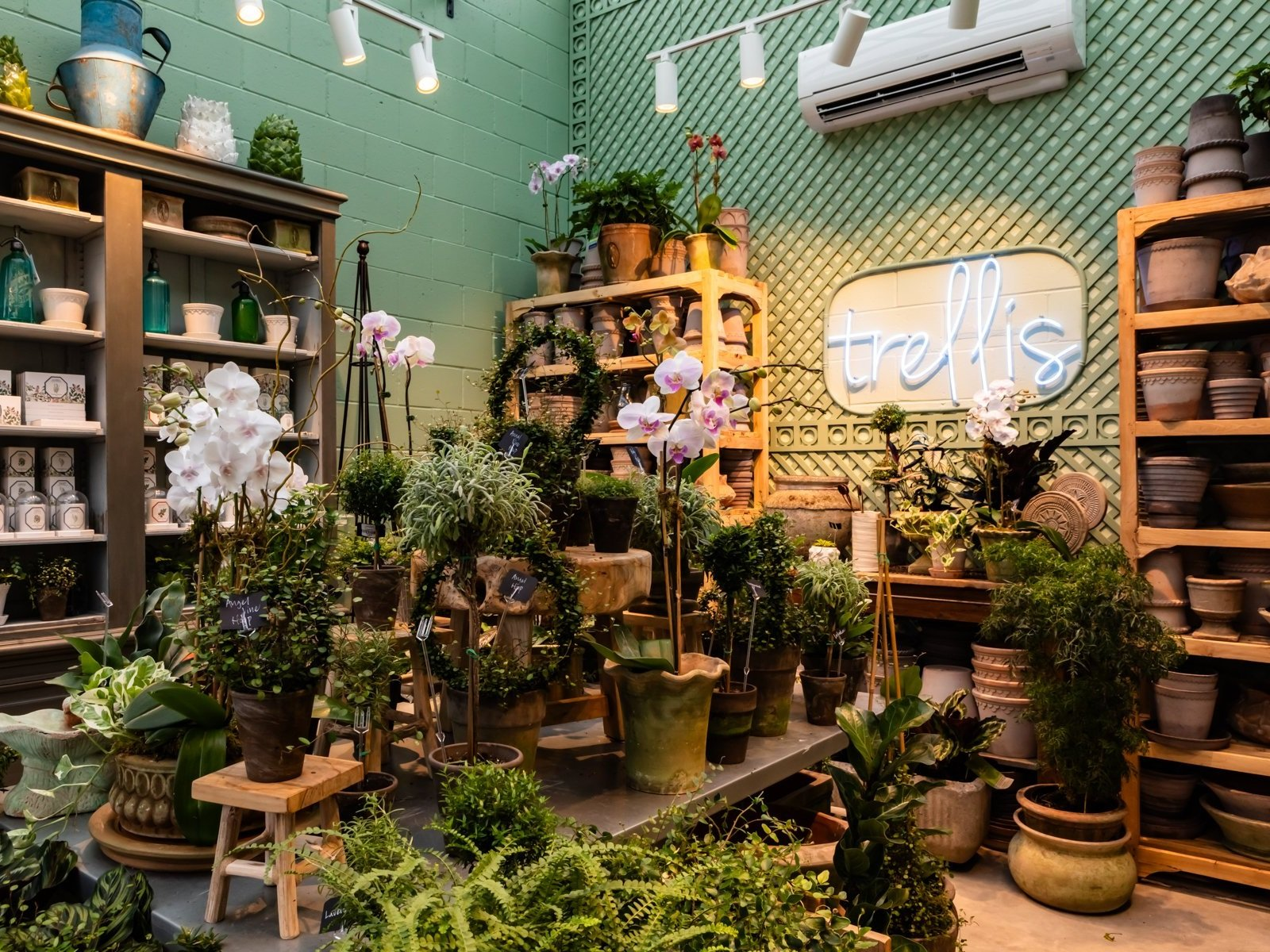 Flower Shop Name