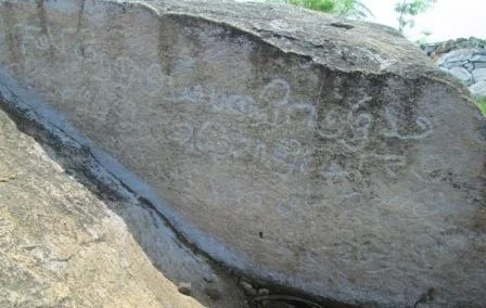 A close-up of a rock

Description automatically generated