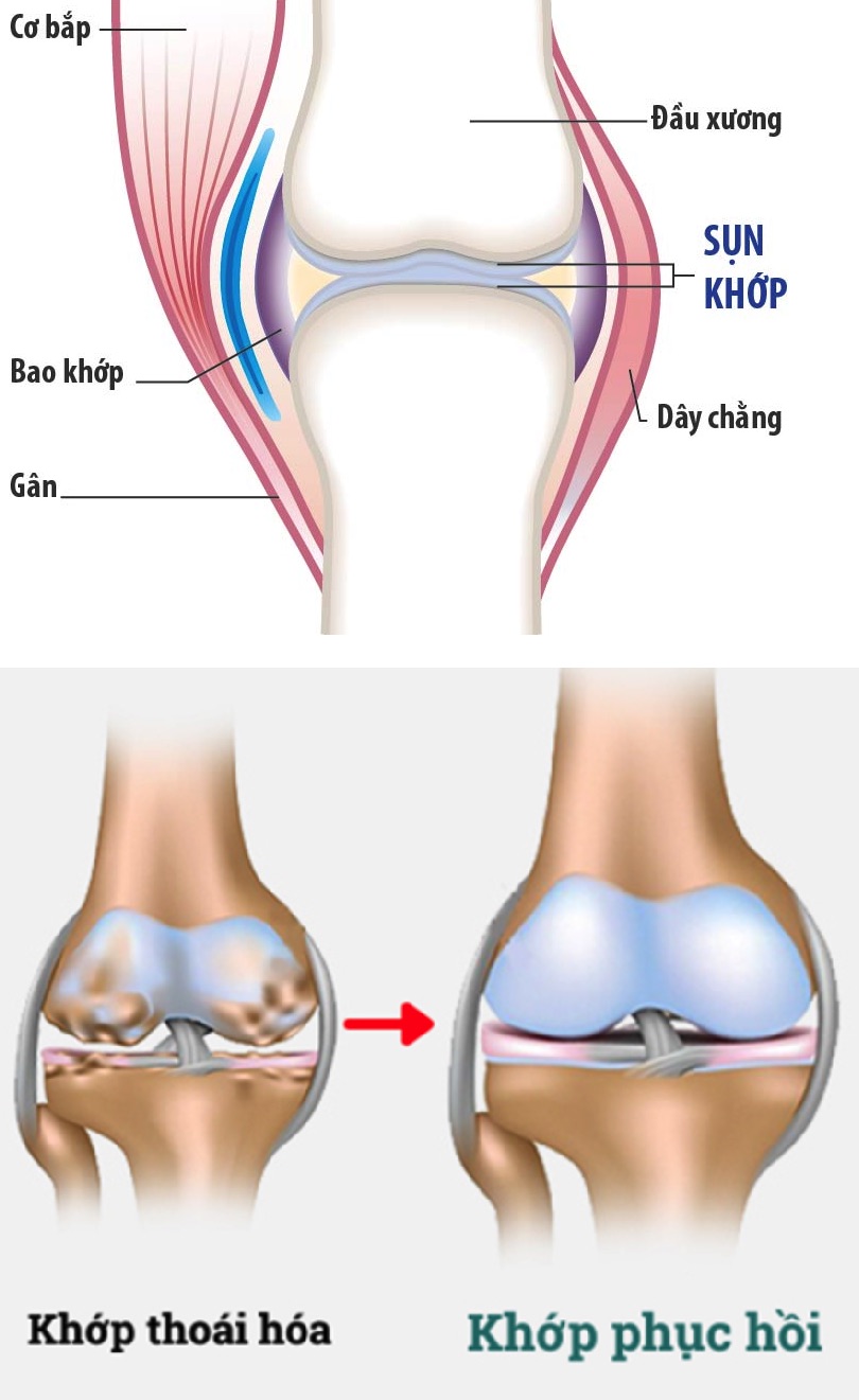 Thuoc movefix có tốt không