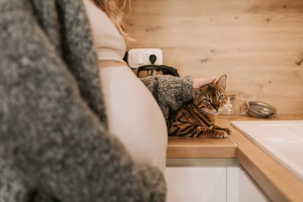 Pregnant Women Should Get Rid of Their Cats