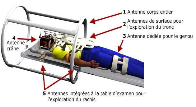 Chaîne radiofréquence de l'IRM