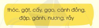 BÀI 22: CHUYỆN CÂY, CHUYỆN NGƯỜIBÀI ĐỌC 1: MÙA LÚA CHÍN