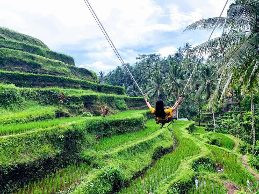 aktiviti menarik di bali
