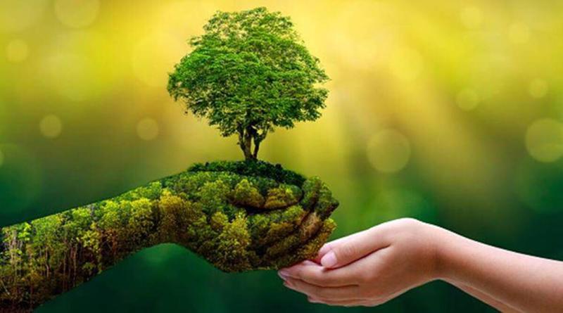 5+ Giải pháp năng lượng xanh, sạch, bền vững – HƯỚNG TỚI NET ZERO