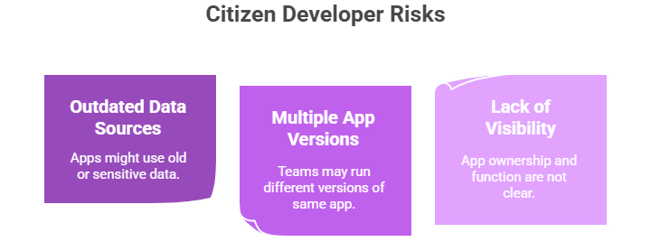 Citizen developer risks
