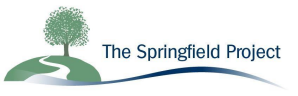 Safeguarding Children Policy The Springfield Project