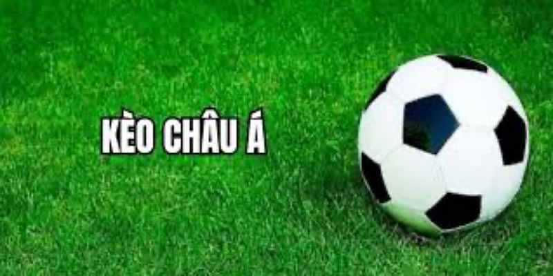 AD_4nXeAG55OUSdZudHRnfUTzzt_EYHUeUgjLRepAz2vBrFdl-NiMKN3VzqIv3pkAHlRLYjtdsYN4YPCnqZGtk7hEDTWkH6nB3DZHaFt_yIuP78aIHsI3GzP2FjKIxhDG9GeX6Qv8_QNGB_Pu_K6gFhlAR-Scx8