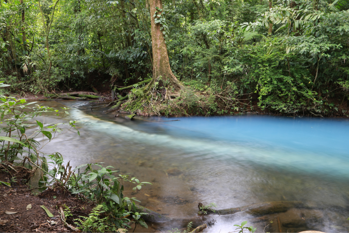 A side view of 2 rivers mixing in Rio Celeste.