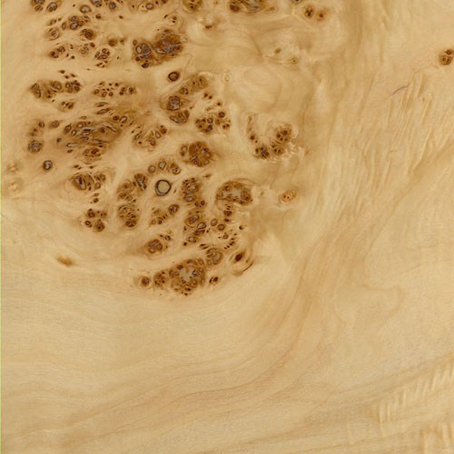 A close-up of a wood grain

Description automatically generated