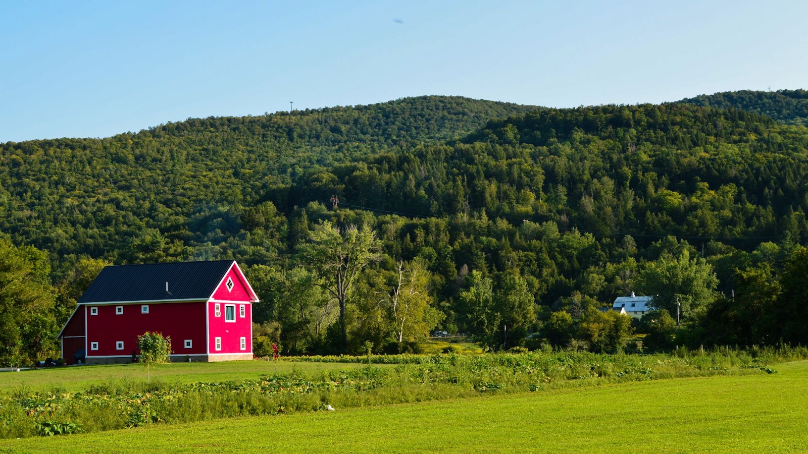 vermont barn red