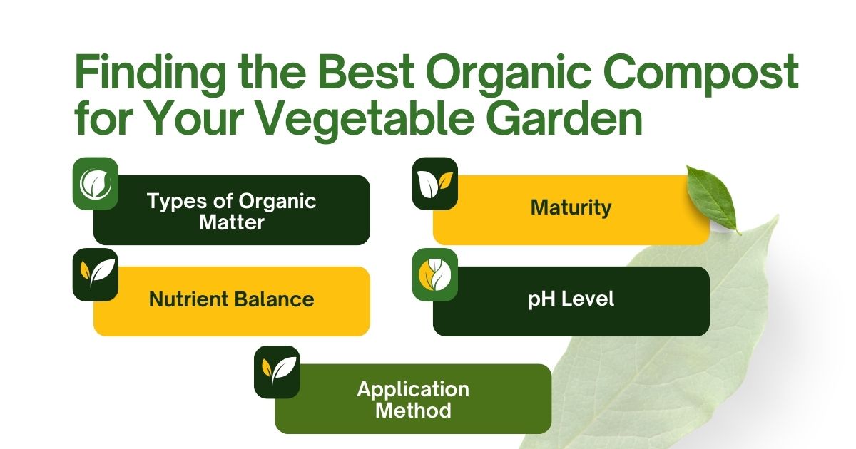 Finding the Best Organic Compost for Your Vegetable Garden