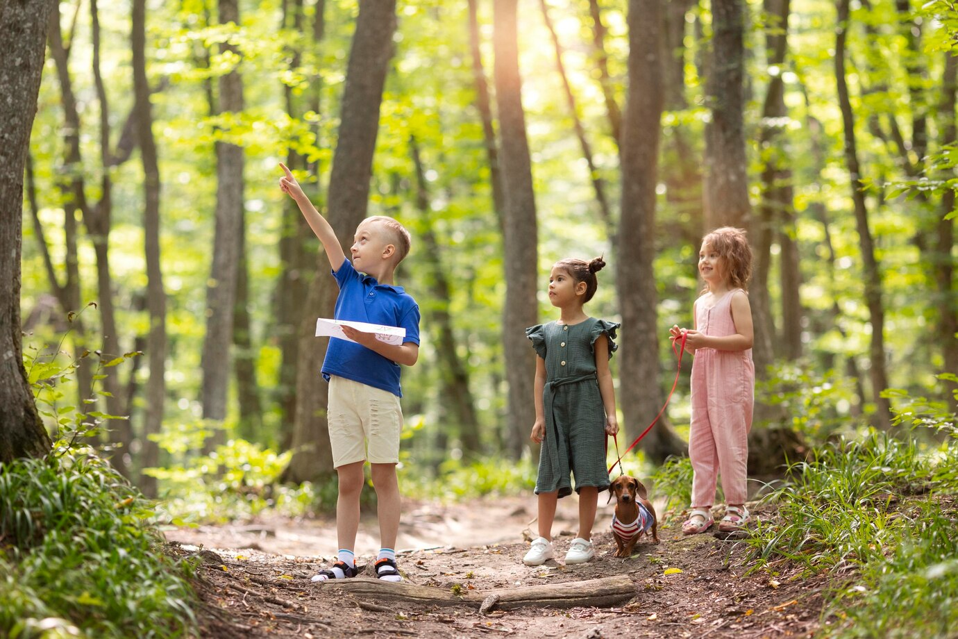 Understanding the World Activities - Nature Walks