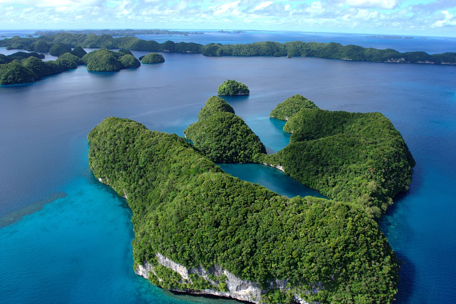 Top view of Jellyfish Lake.