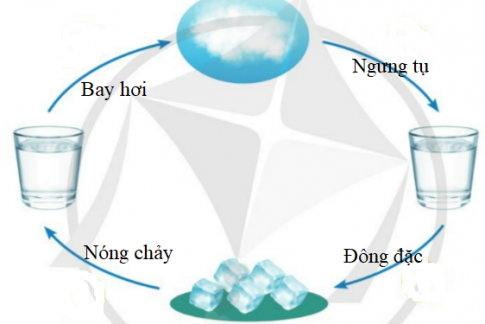 BÀI 2. SỰ CHUYỂN THỂ CỦA NƯỚC