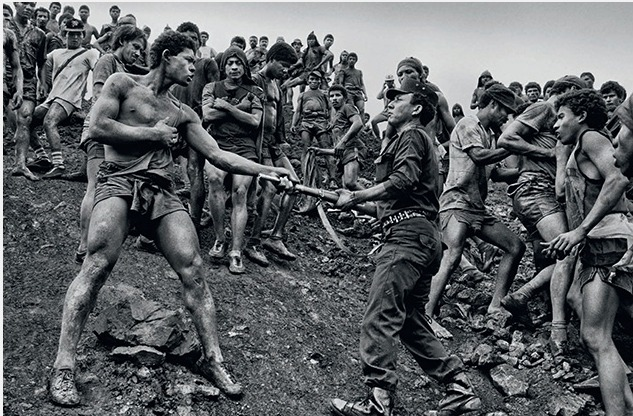 Fotografia “Terra”, de Sebastião Salgado - Foto: Divulgação/Sebastião Salgado