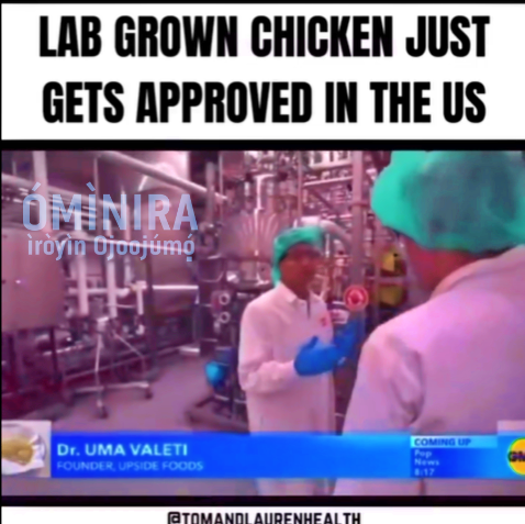 Lab grown chicken just gets approved in the US