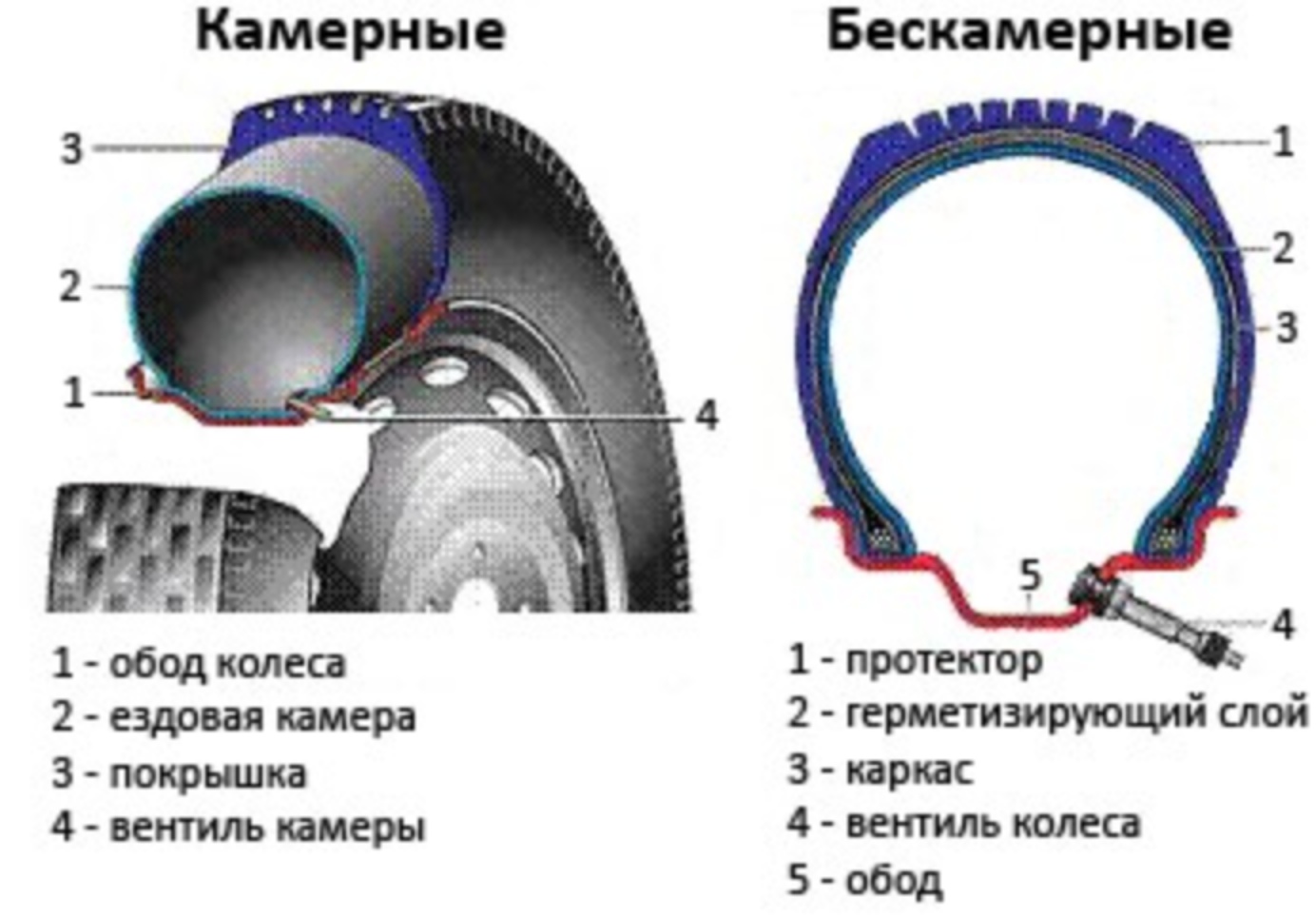 сравнение: камерные и бескамерные автошины