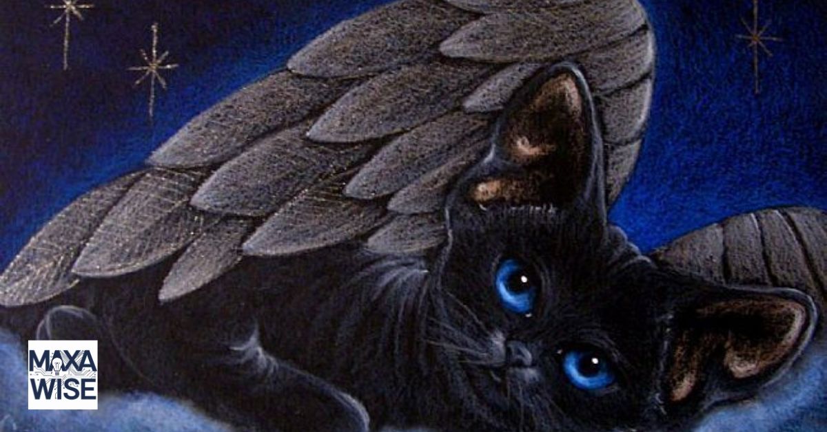 Black Cat Spiritual Meaning