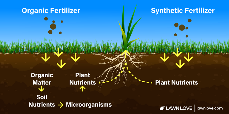 Organic Liquid Fertilizers vs. Synthetic Fertilizers